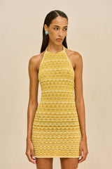 Cult Gaia Women | ERINA KNIT DRESS