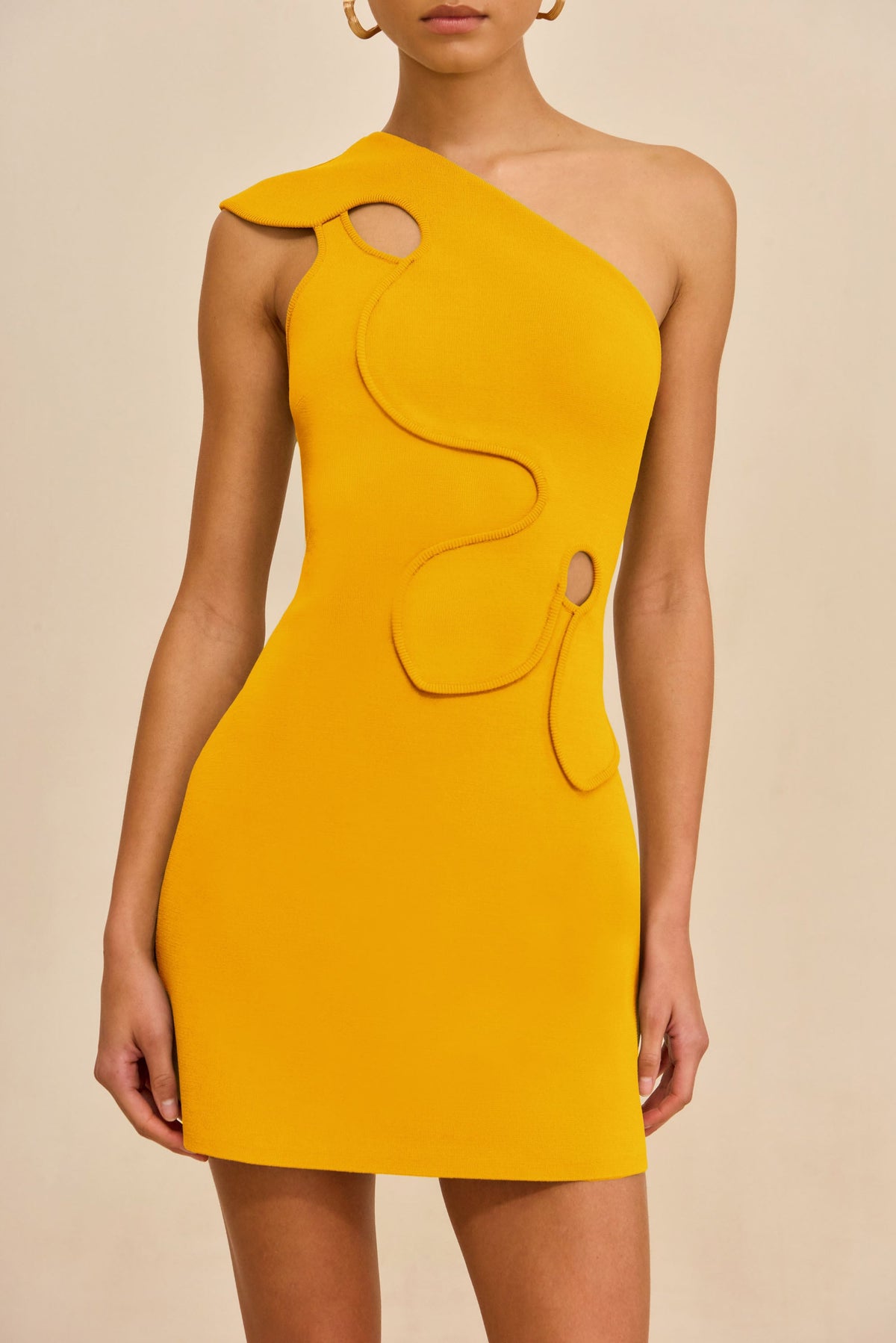 Cult Gaia Women | LABELLA KNIT DRESS